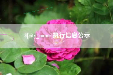 梅河口执行信息公示