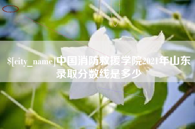梅河口中国消防救援学院2021年山东录取分数线是多少