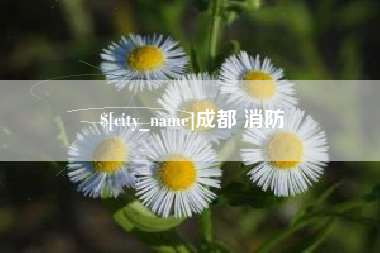 梅河口成都 消防