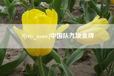 梅河口中国队九块金牌