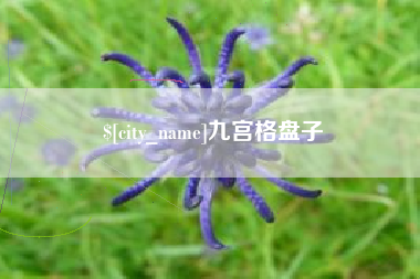 梅河口九宫格盘子