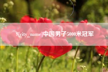 梅河口中国男子5000米冠军