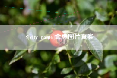 梅河口金牌图片真实