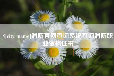 梅河口消防官网查询系统查询消防职业资格证书