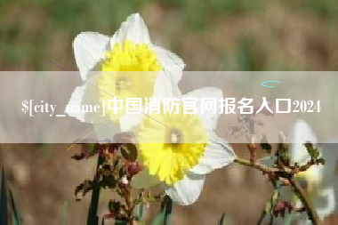 梅河口中国消防官网报名入口2024