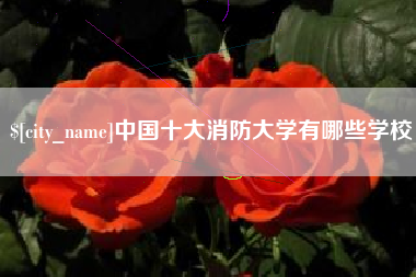 梅河口中国十大消防大学有哪些学校