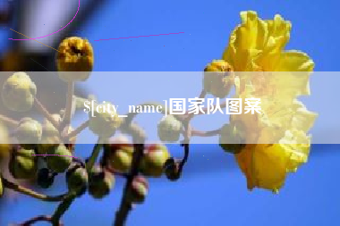 梅河口国家队图案