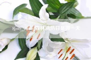 梅河口森林消防日是哪一天