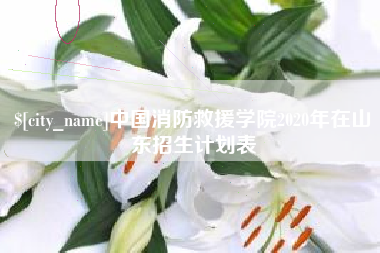 梅河口中国消防救援学院2020年在山东招生计划表