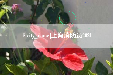 梅河口上海消防员2021