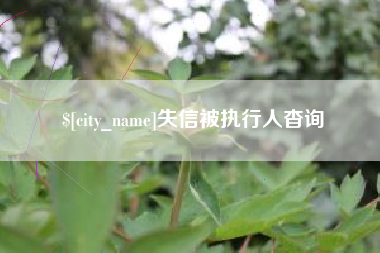 梅河口失信被执行人杳询