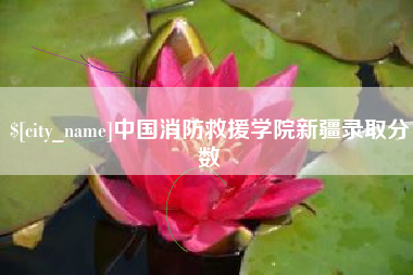 梅河口中国消防救援学院新疆录取分数
