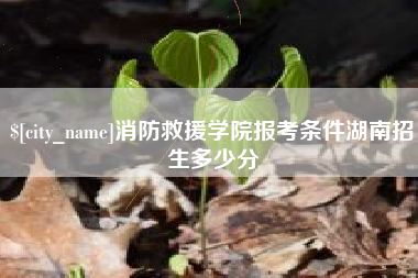 梅河口消防救援学院报考条件湖南招生多少分