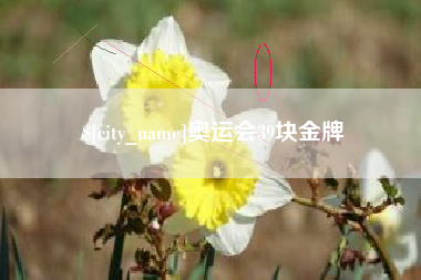 梅河口奥运会39块金牌