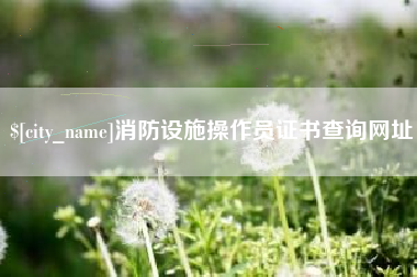 梅河口消防设施操作员证书查询网址