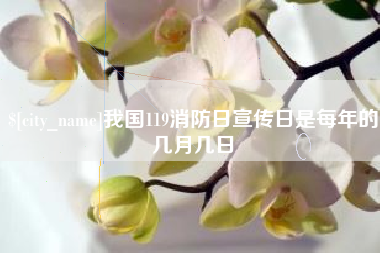 梅河口我国119消防日宣传日是每年的几月几日