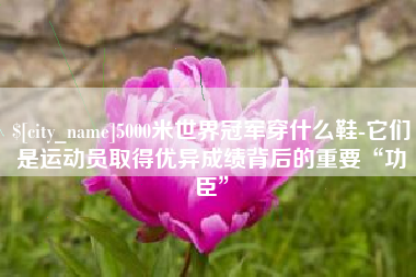 梅河口5000米世界冠军穿什么鞋-它们是运动员取得优异成绩背后的重要“功臣”