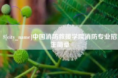 梅河口中国消防救援学院消防专业招生简章