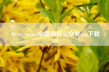 梅河口中国消防公众号app下载