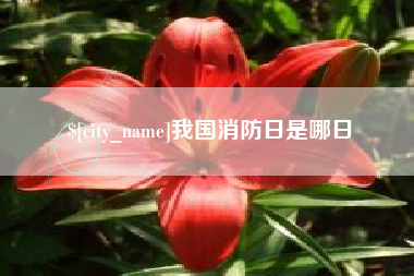 梅河口我国消防日是哪日