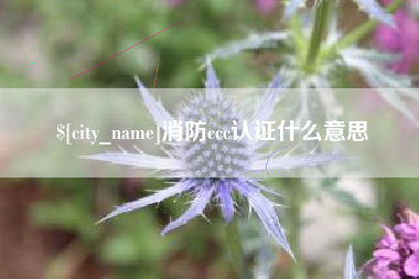 梅河口消防ccc认证什么意思