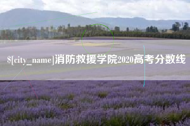 梅河口消防救援学院2020高考分数线
