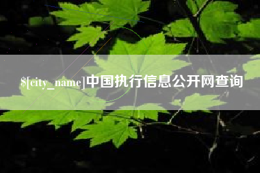 梅河口中国执行信息公开网查询