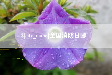 梅河口全国消防日哪一