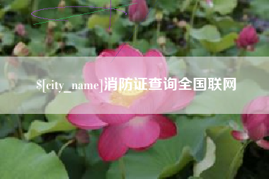 梅河口消防证查询全国联网