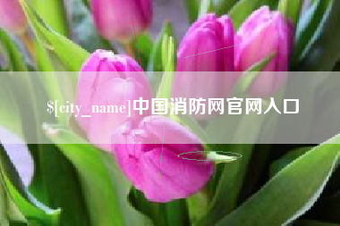 梅河口中国消防网官网入口