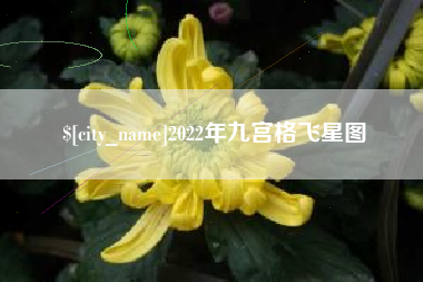 梅河口2022年九宫格飞星图