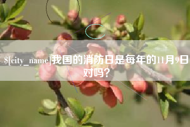 梅河口我国的消防日是每年的11月9日对吗？