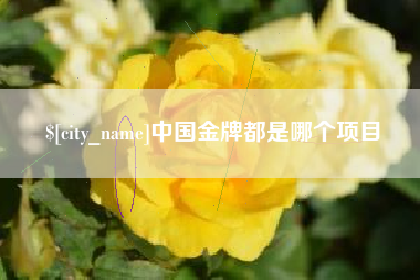 梅河口中国金牌都是哪个项目
