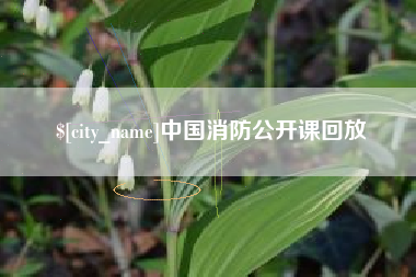 梅河口中国消防公开课回放