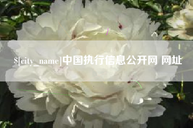 梅河口中国执行信息公开网 网址