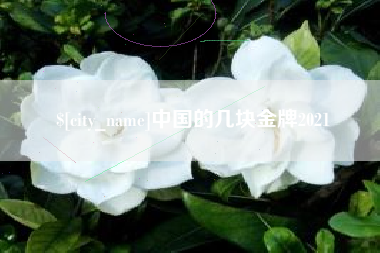 梅河口中国的几块金牌2021