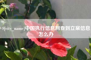 梅河口中国执行信息网查到立案信息怎么办