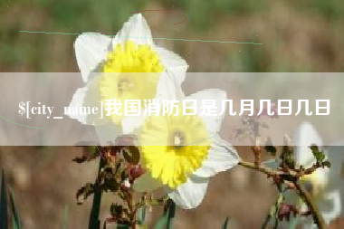 梅河口我国消防日是几月几日几日