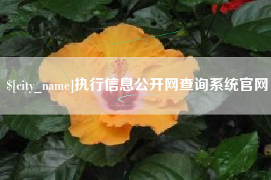 梅河口执行信息公开网查询系统官网