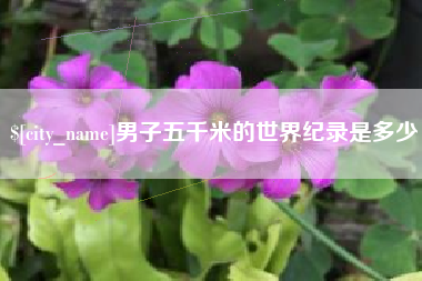 梅河口男子五千米的世界纪录是多少