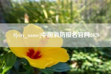 梅河口中国消防报名官网2020