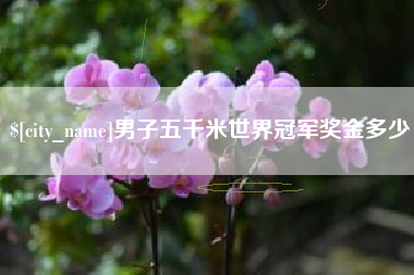 梅河口男子五千米世界冠军奖金多少