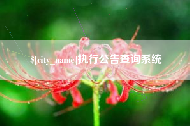 梅河口执行公告查询系统