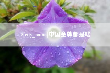梅河口中国金牌都是啥