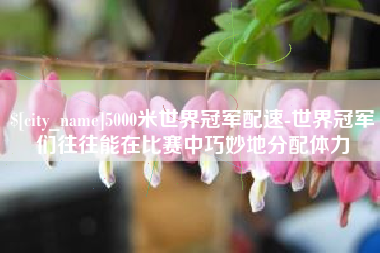 梅河口5000米世界冠军配速-世界冠军们往往能在比赛中巧妙地分配体力