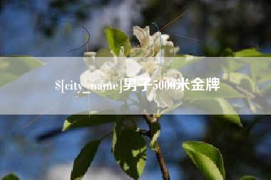 梅河口男子5000米金牌