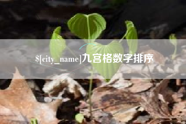 梅河口九宫格数字排序