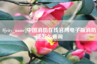 梅河口中国消防在线官网电子版消防证怎么查询