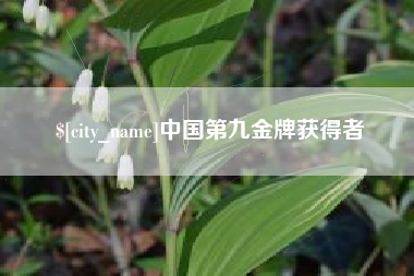 梅河口中国第九金牌获得者