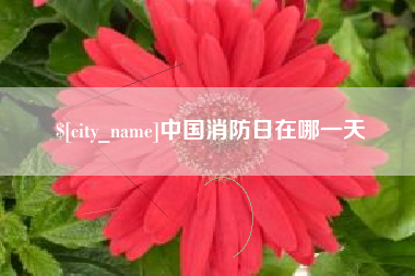 梅河口中国消防日在哪一天